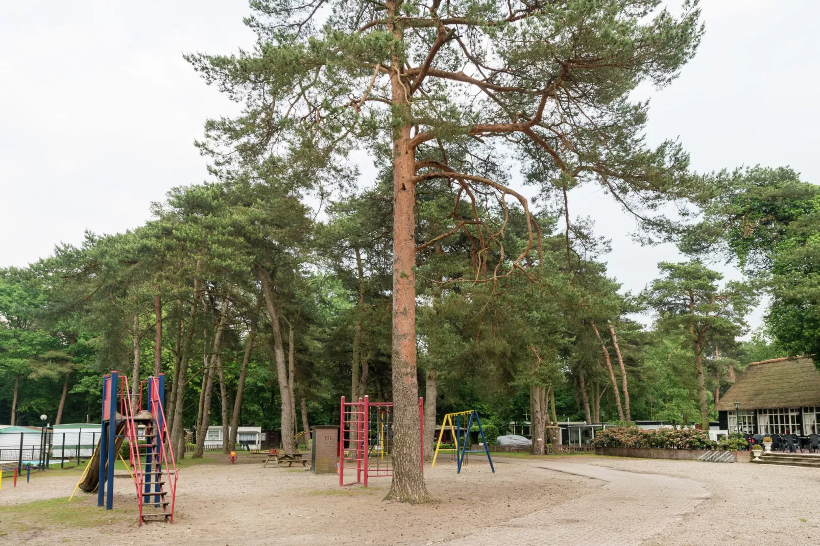 Bunderbos-Areas summer 1km