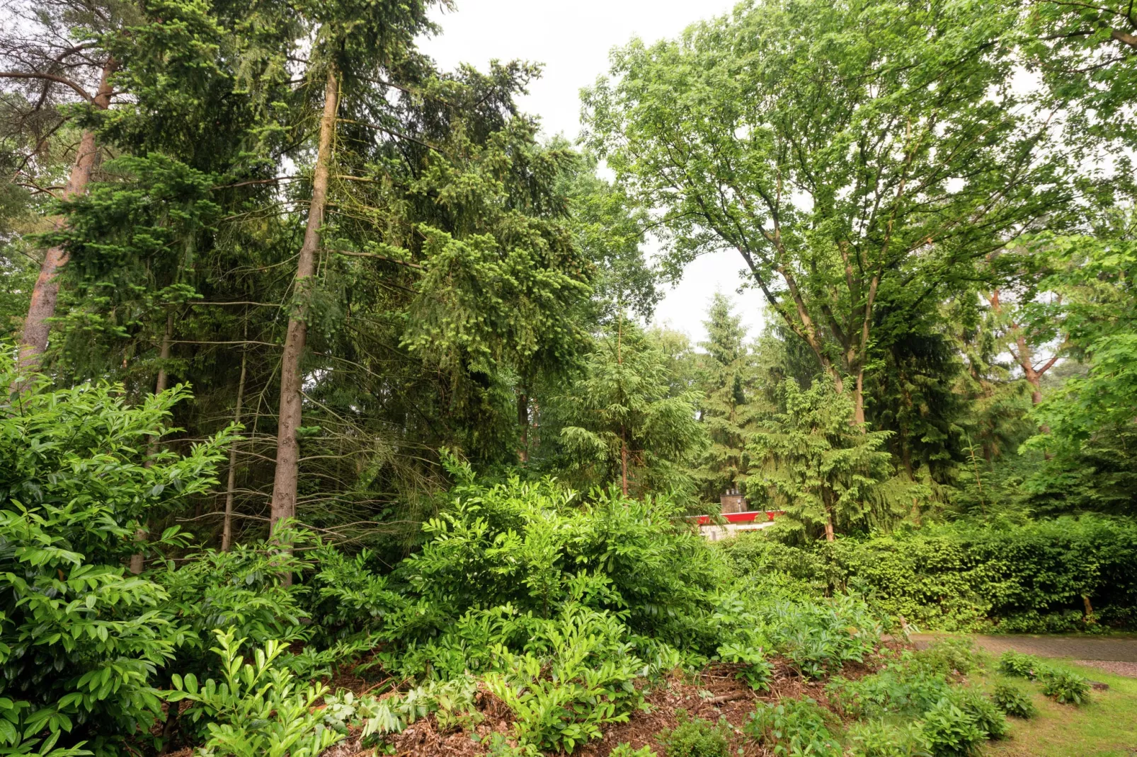 Bunderbos-Areas summer 1km