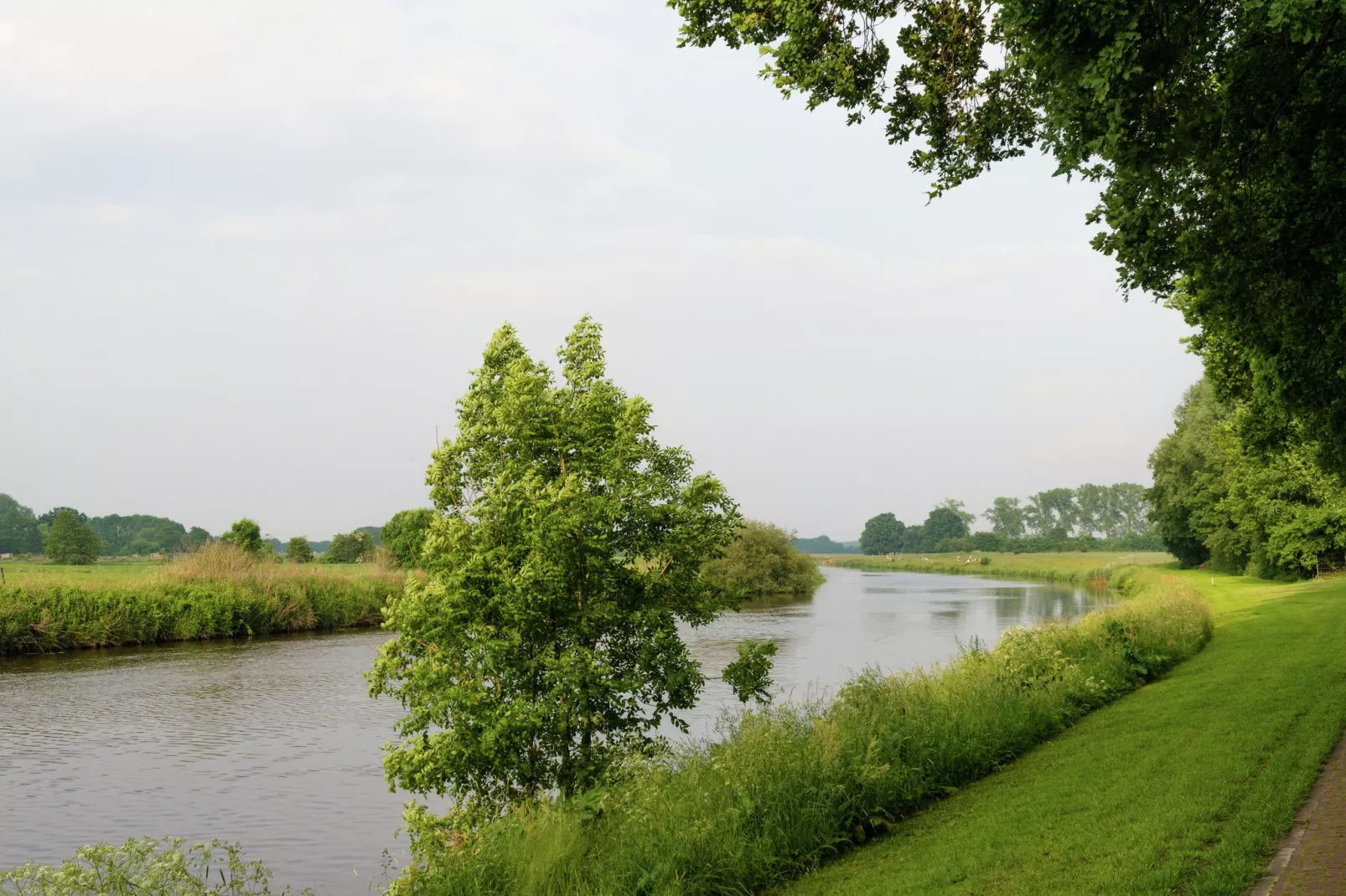 Bunderbos-Areas summer 5km