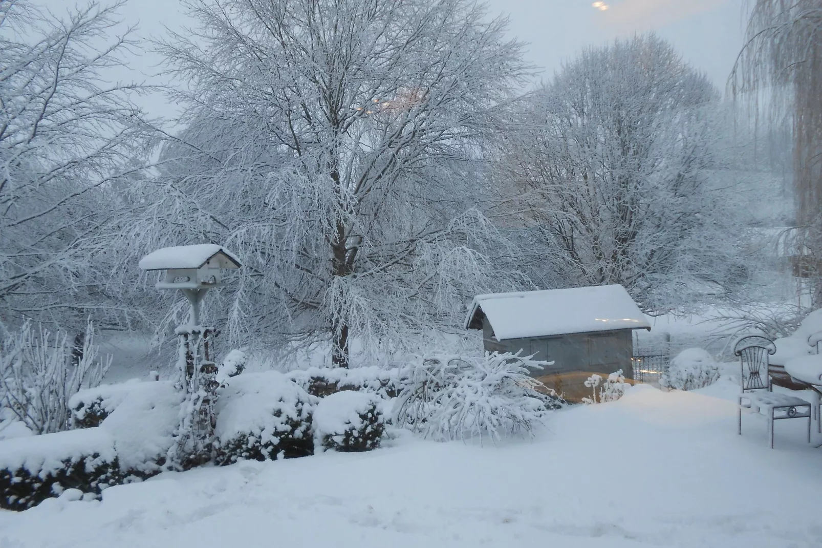 L'Escarlotte-Garden winter