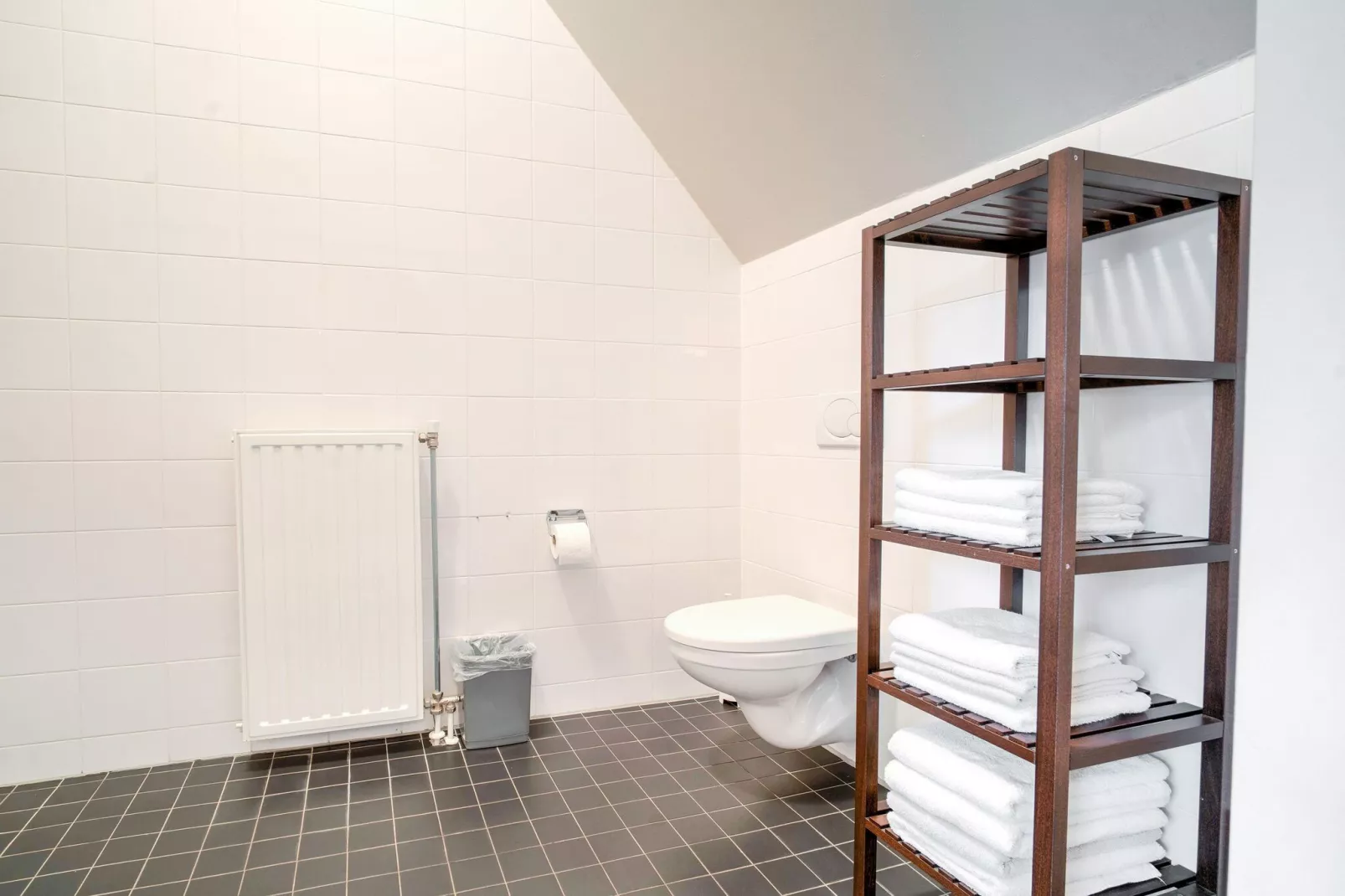 Kantonniershuisje-Badezimmer