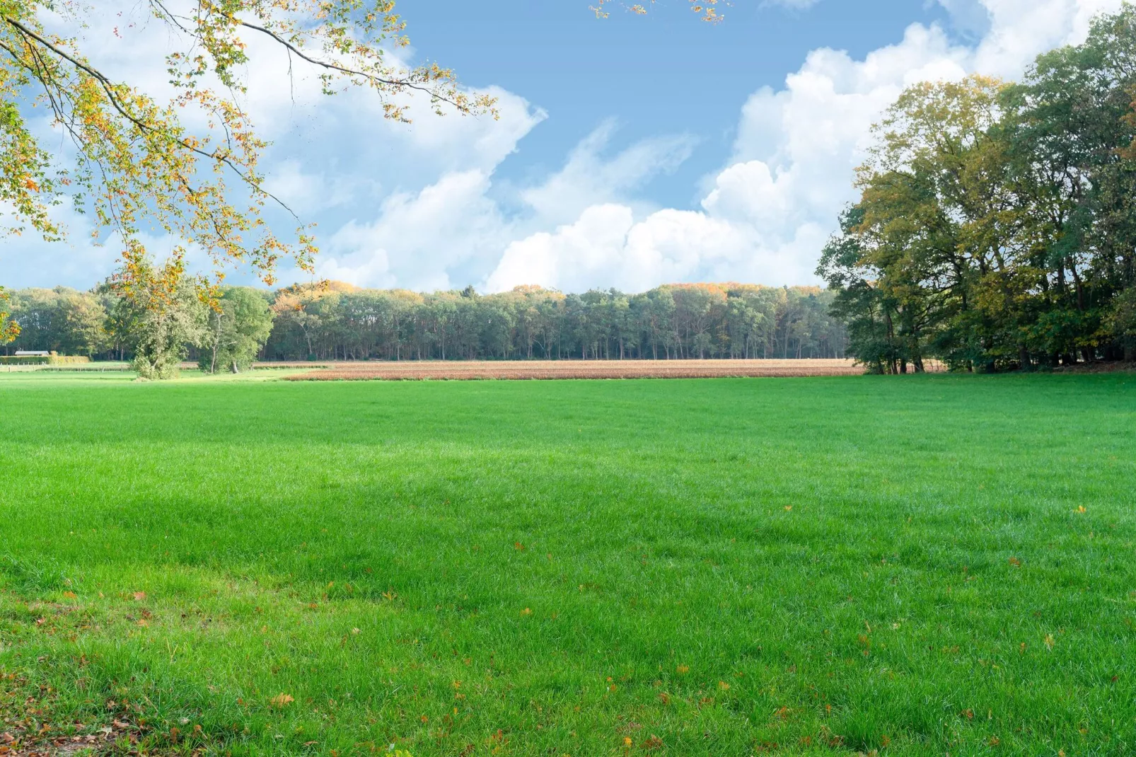 Kantonniershuisje-Gebiete Sommer 1 km