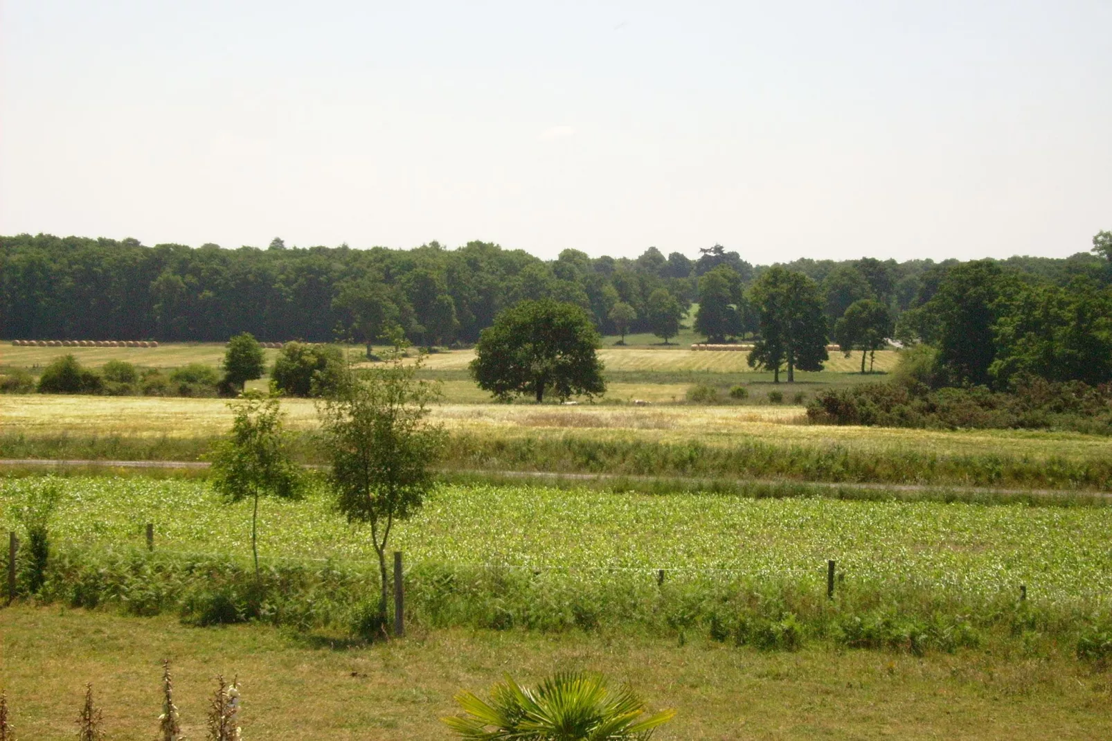 Les Volets Bleus-View summer