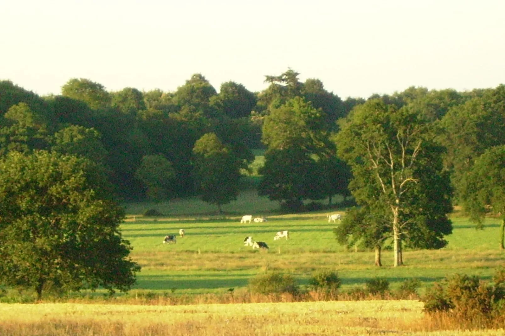 Les Volets Bleus-View summer