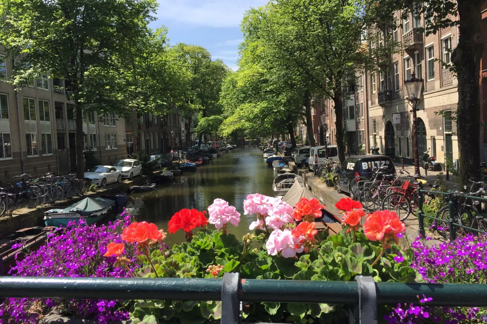 Appartement Orange Tulips-Areas summer 1km