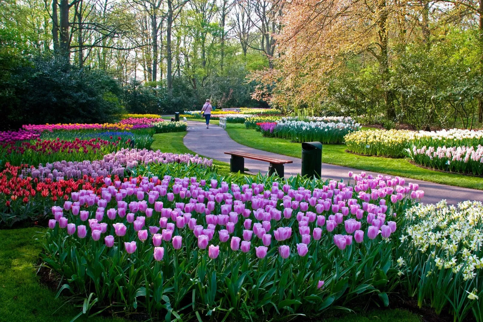 Appartement Orange Tulips-Areas summer 20km