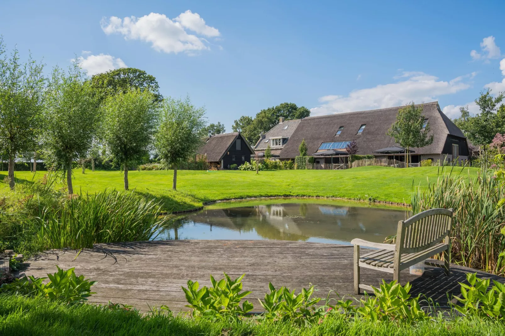 Boerderij Dwingelderveld-Gardens summer