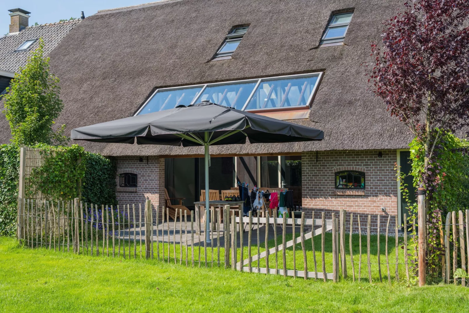 Boerderij Dwingelderveld-Exterior summer