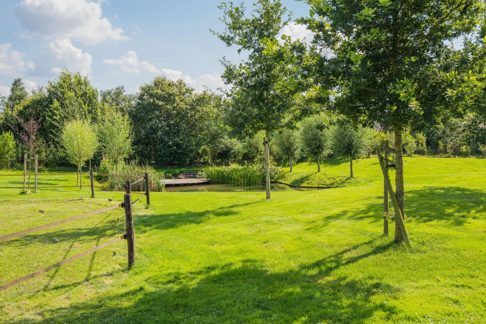 Boerderij Dwingelderveld-Gardens summer