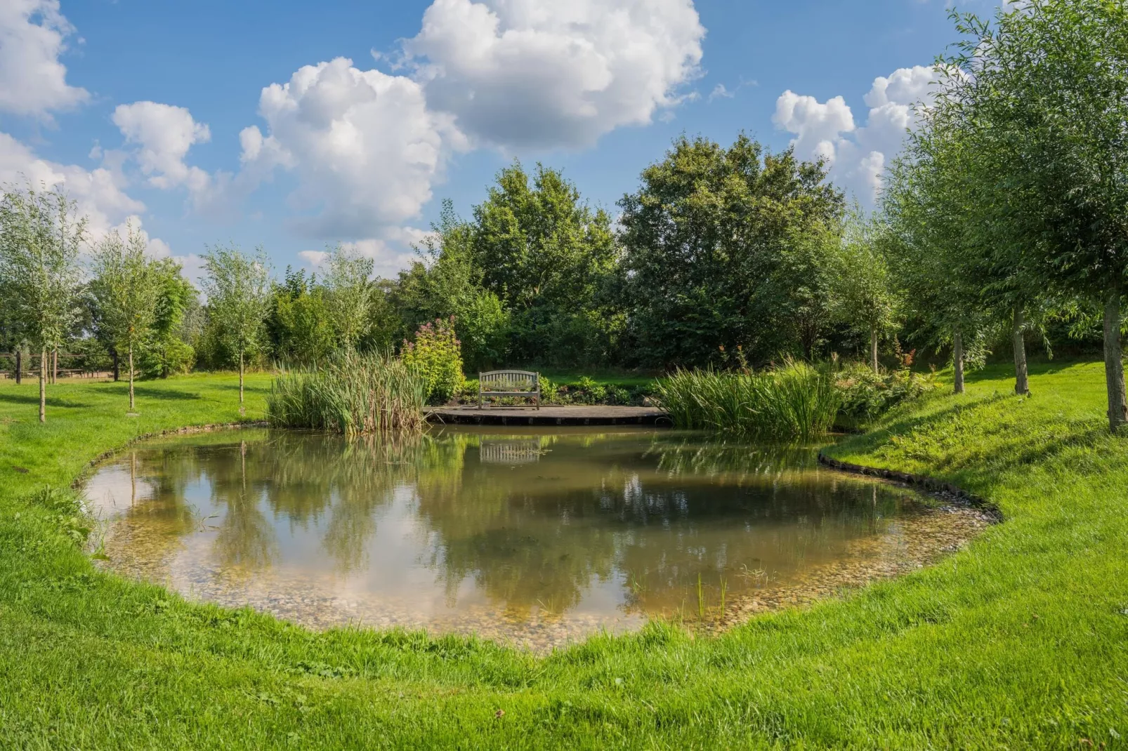 Boerderij Dwingelderveld-Park facilities