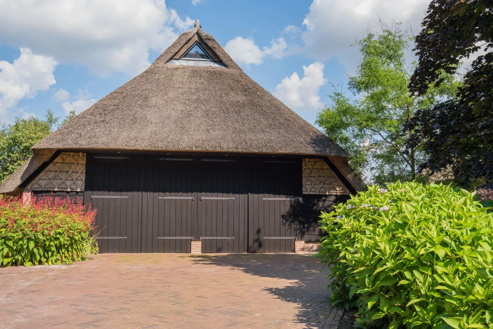 Boerderij Dwingelderveld-Außenbereich Sommer