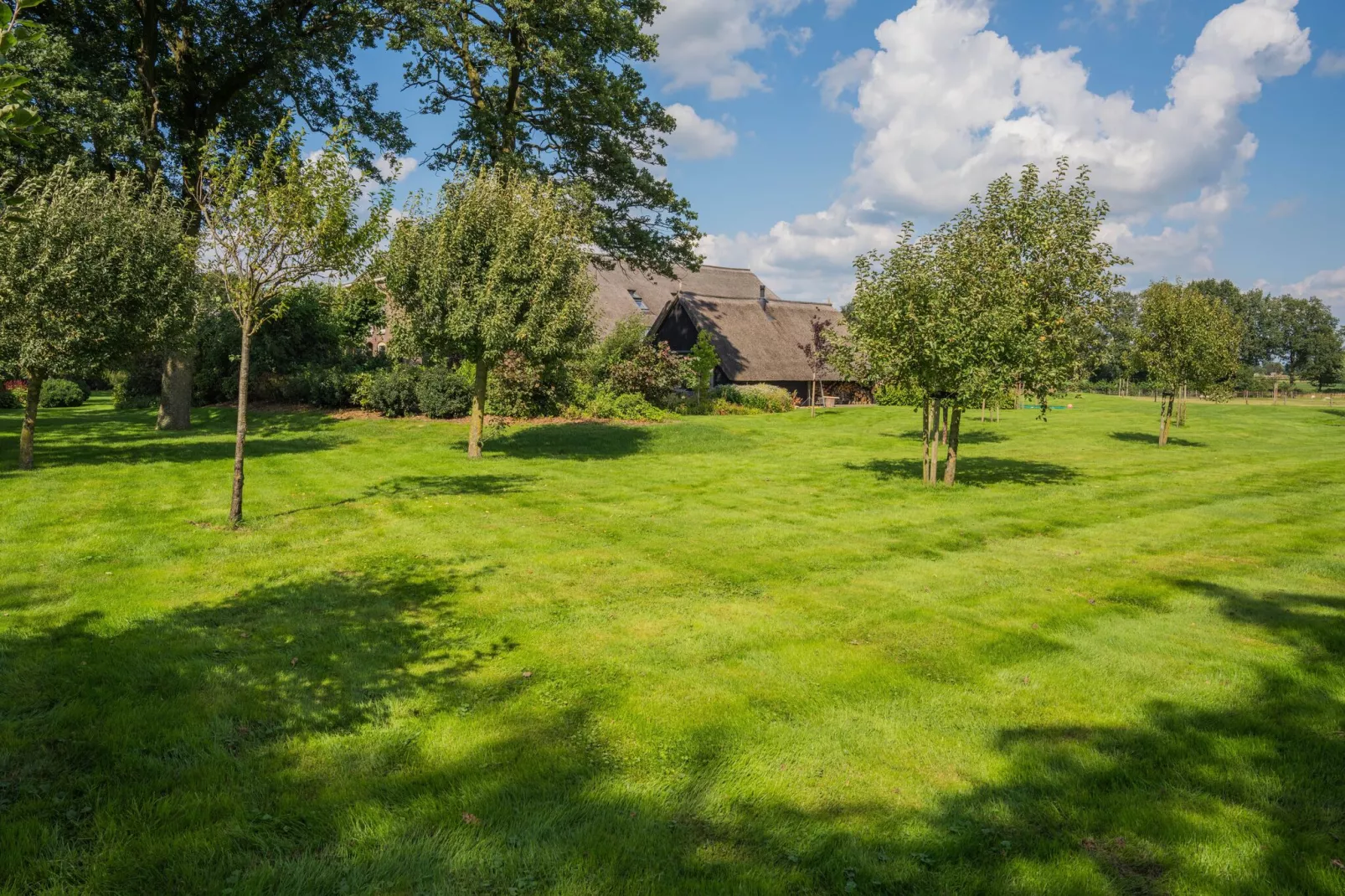 Boerderij Dwingelderveld-Gebiete Sommer 1 km