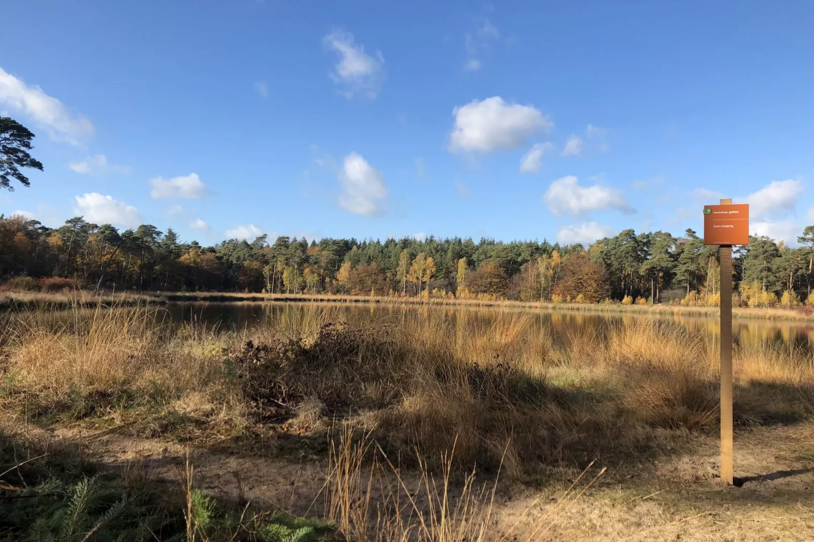 Boerderij Dwingelderveld-Gebiete Sommer 5 km