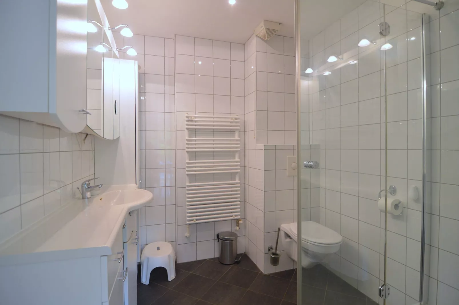 Poort naar de Veluwe-Bathroom