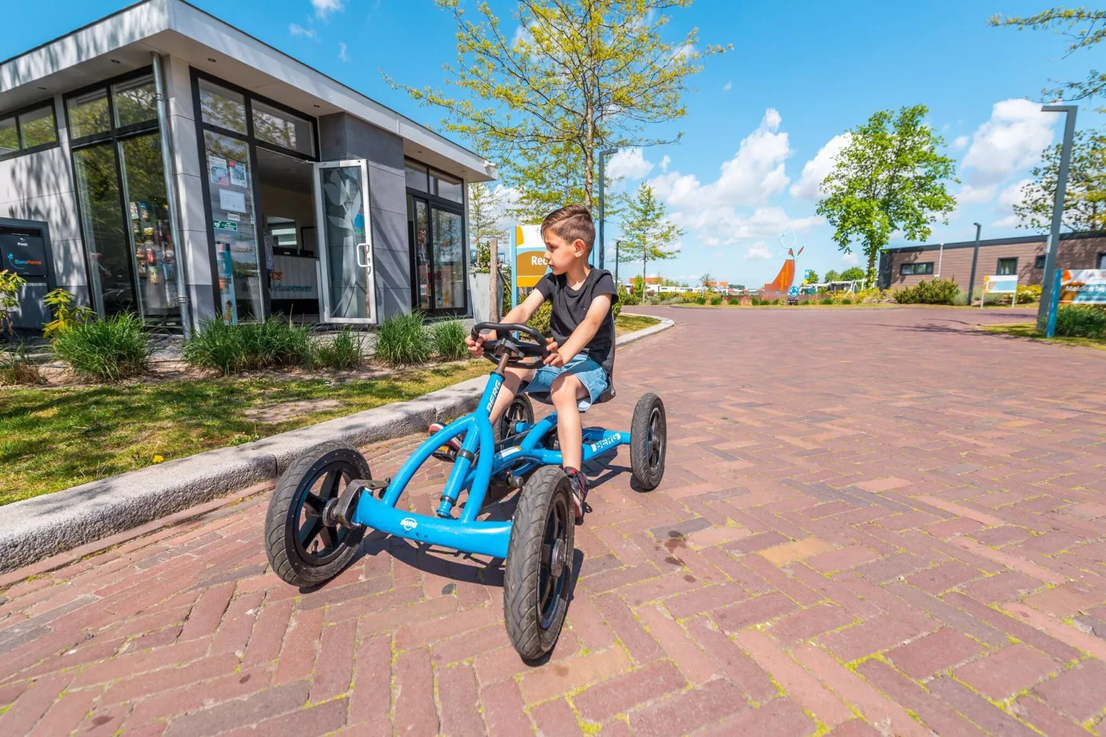 Resort Veluwemeer 1-Park facilities