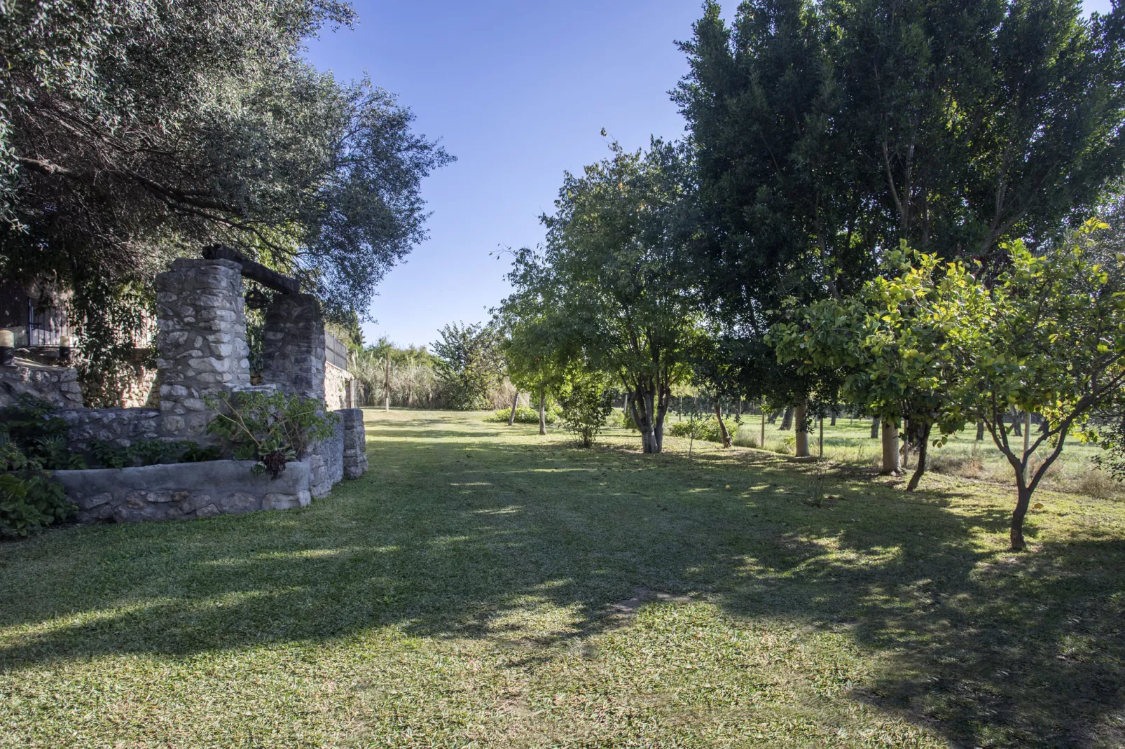 Son Pelai-Gardens summer
