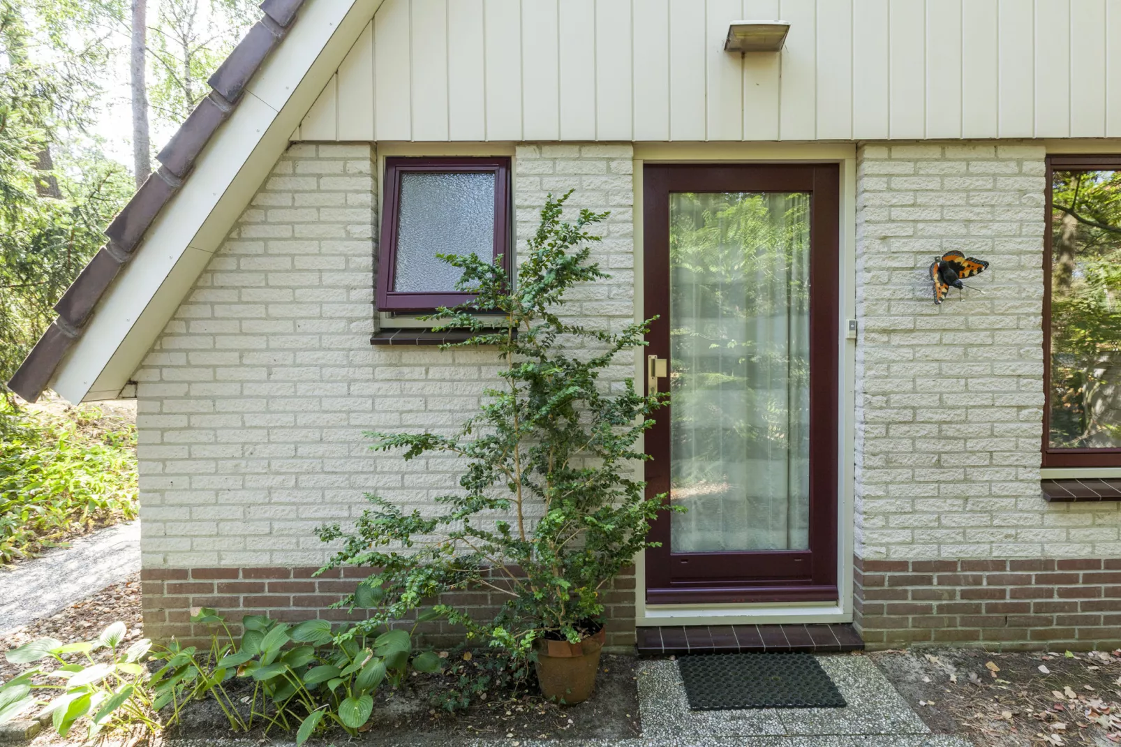 Kleine Vos-Außenbereich Sommer