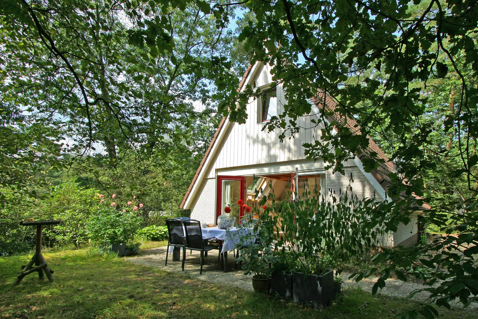 Kleine Vos-Außenbereich Sommer