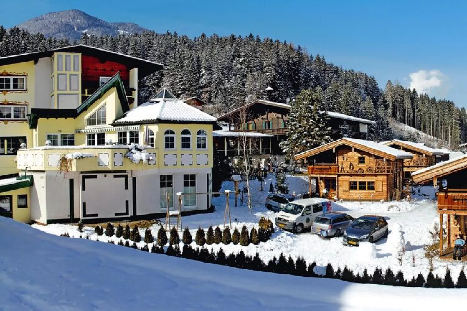 Apart Resort Fügenerhof - 3-Raum Typ 3-Exterior winter