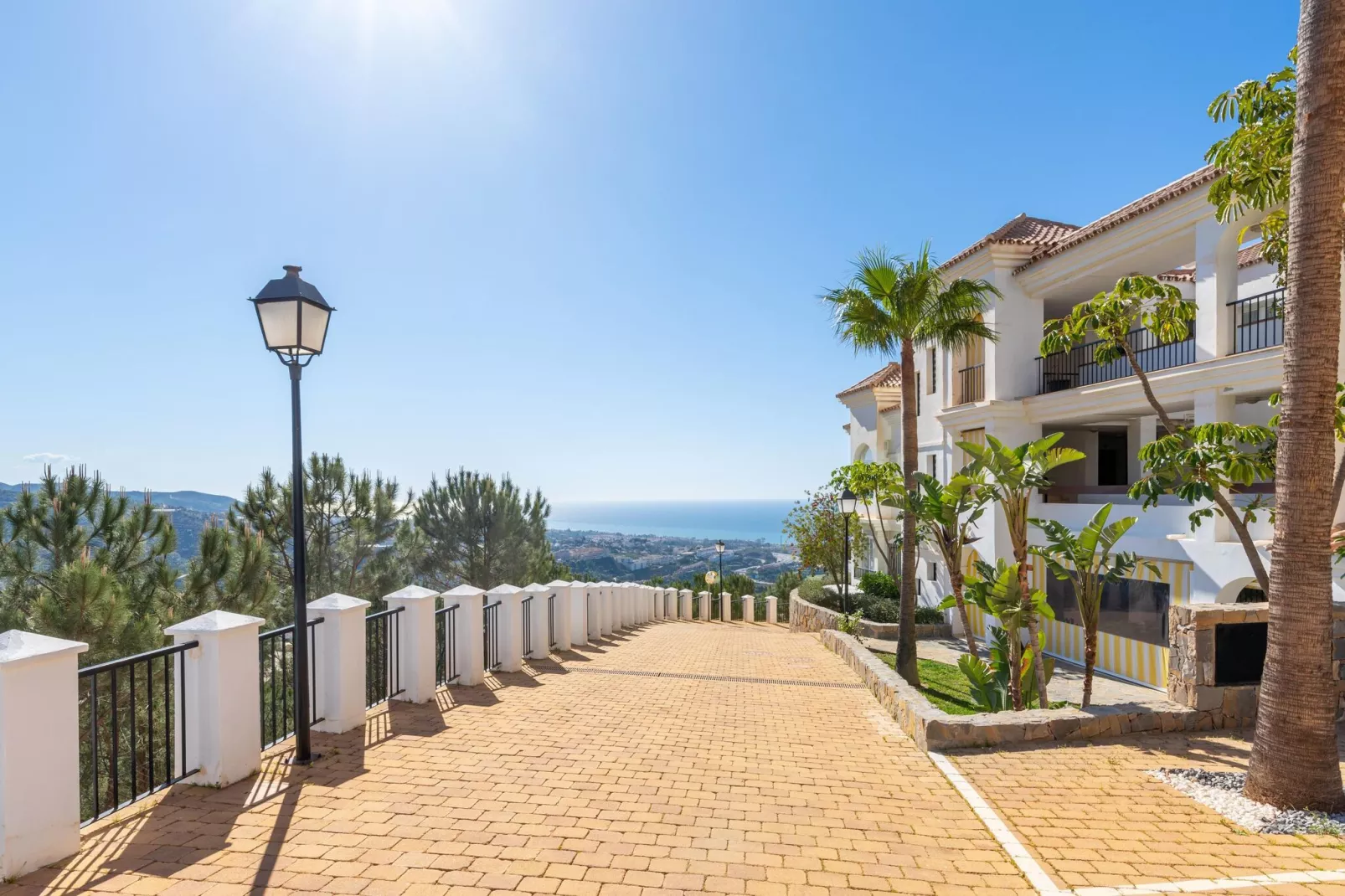 La zenaida I-Exterior summer