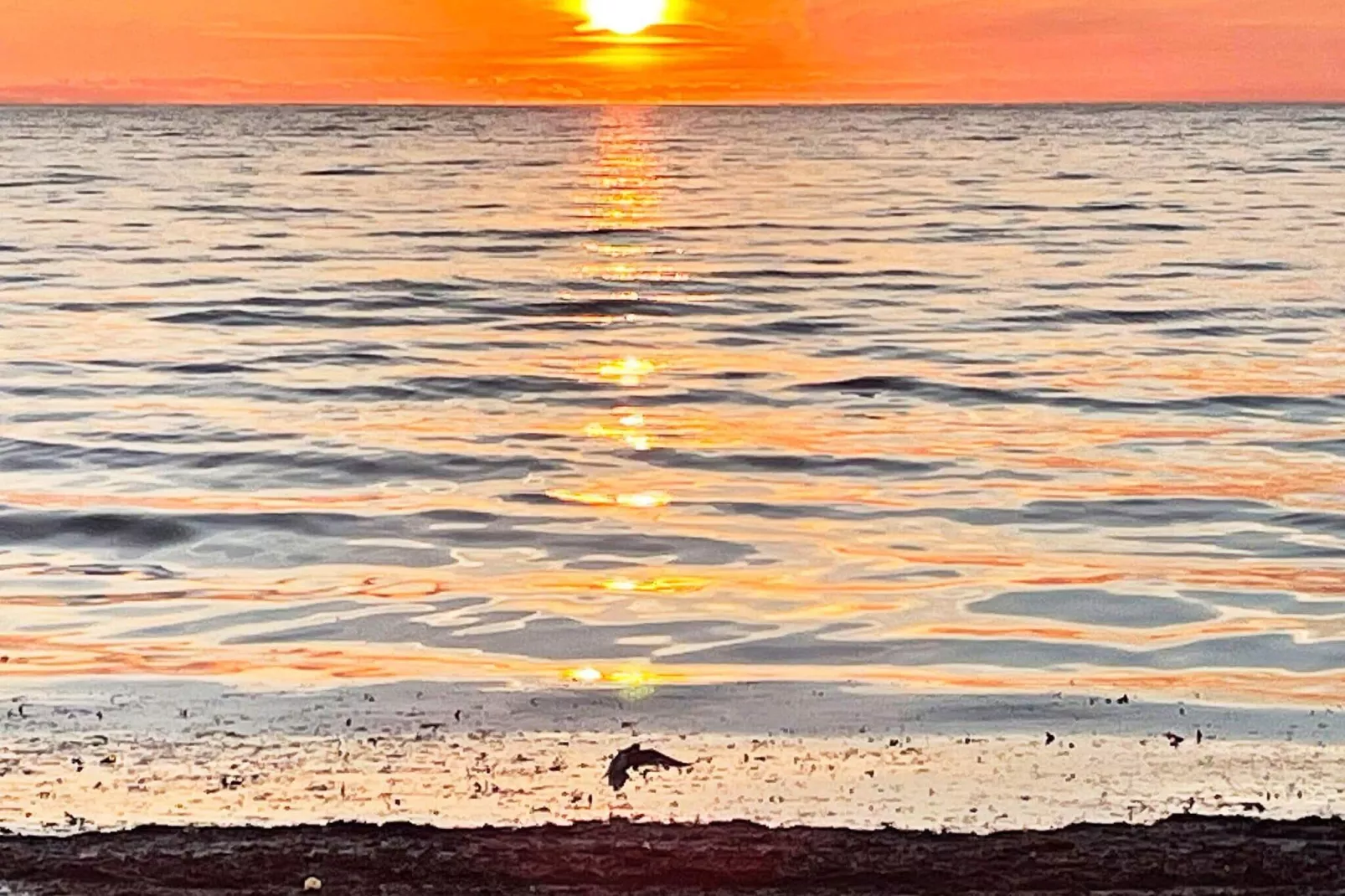 6 Personen Ferienhaus in GOTLANDS TOFTA-By Traum-Nicht zugeordnet