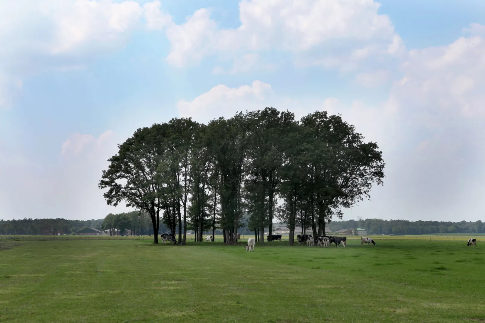 De Maaijen-View summer