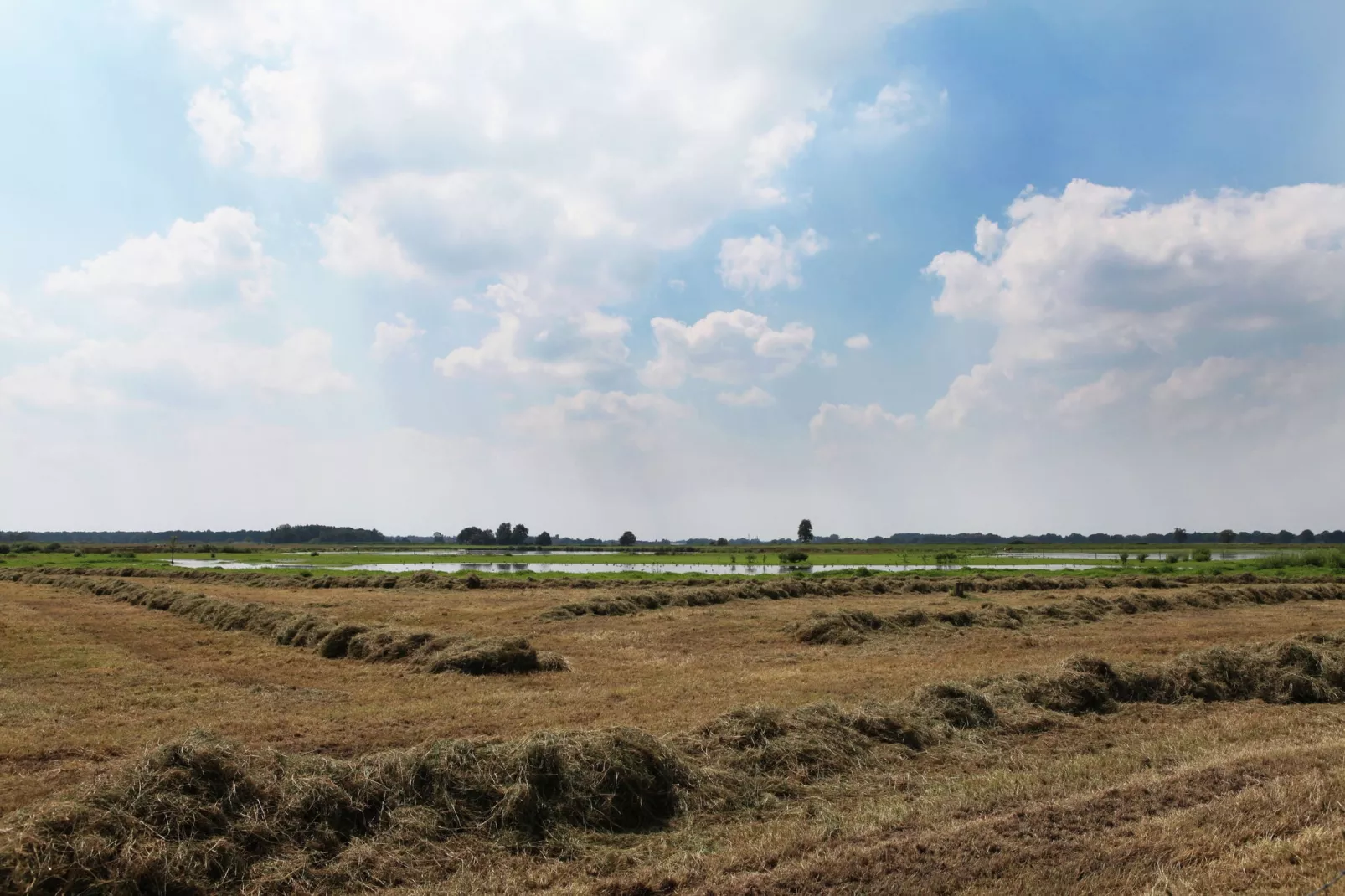 De Maaijen-View summer