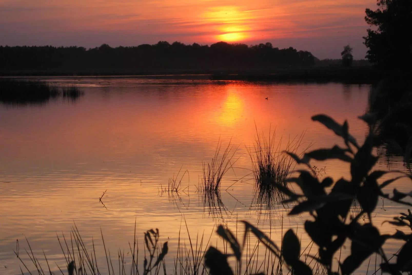 De Maaijen-Areas summer 5km