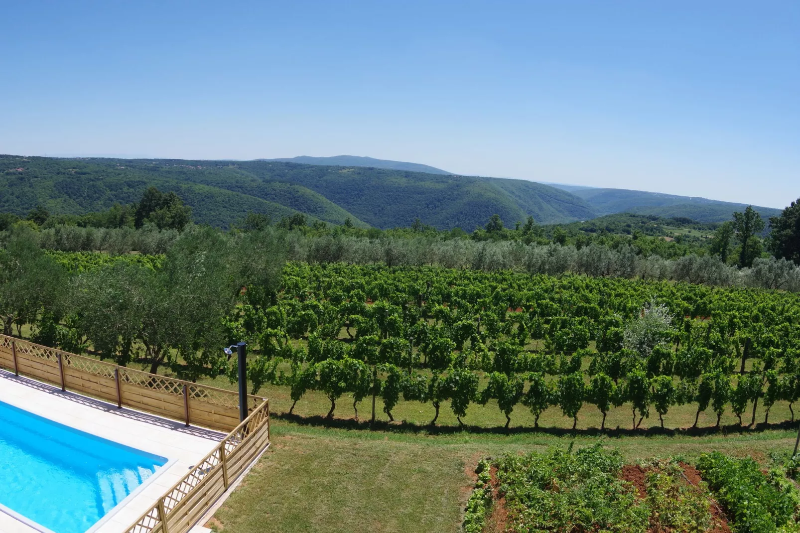 Apartment Jadranka-View summer