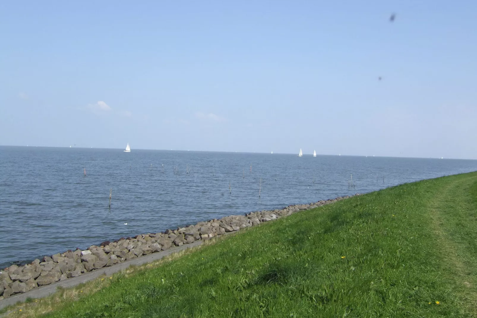 Villavakantiepark IJsselhof 1-Areas summer 1km
