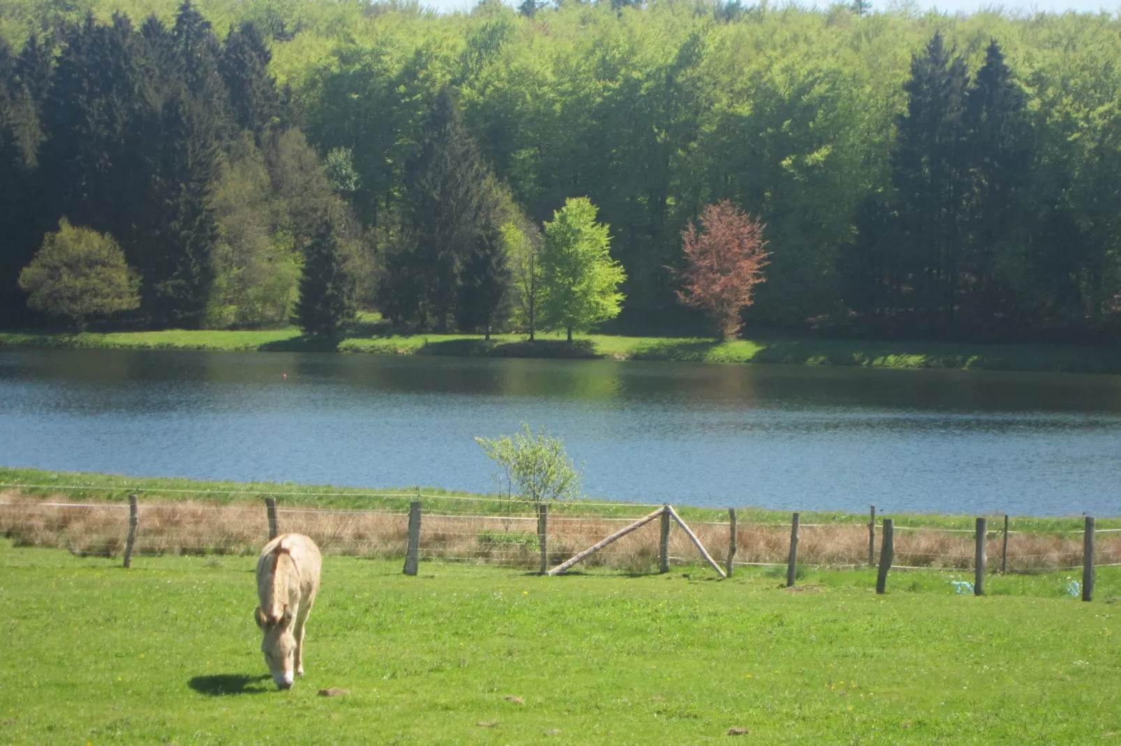 Au Vert Pâturage-Gebiete Sommer 20 km