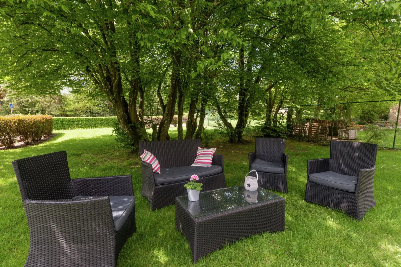 gardensummer