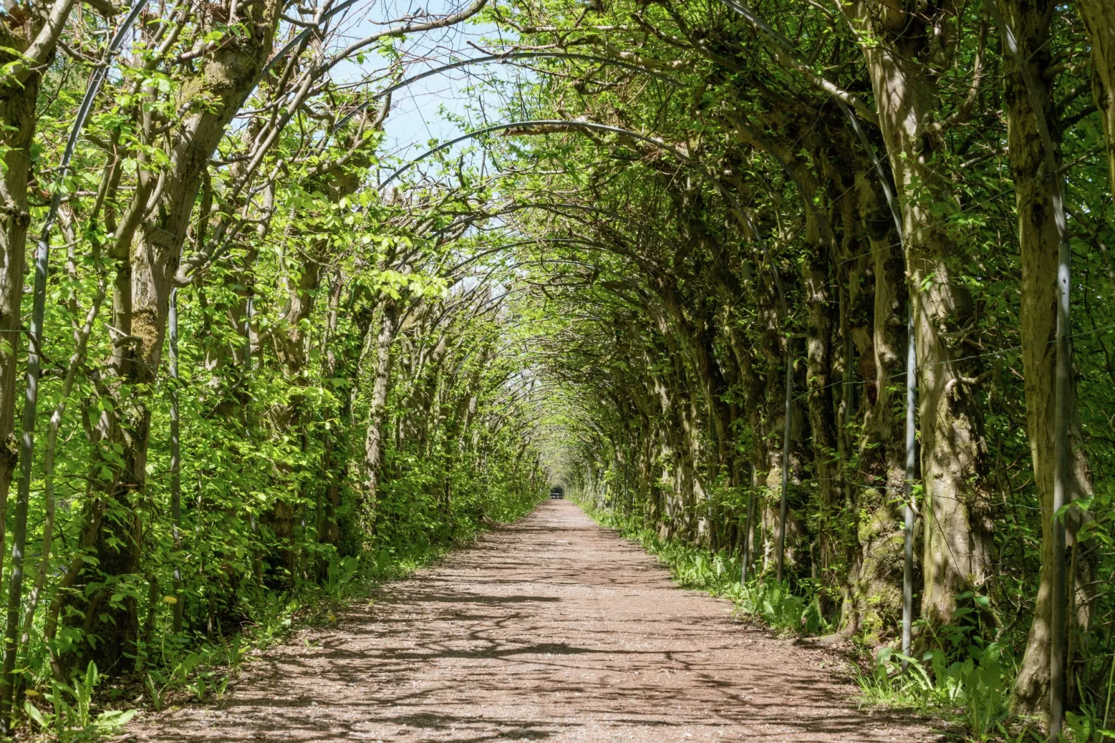 La Charmille-Areas summer 1km