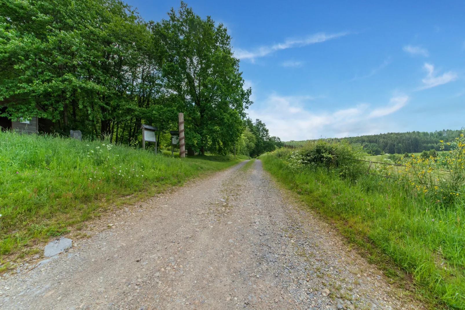 MELSIE-Gebiete Sommer 1 km