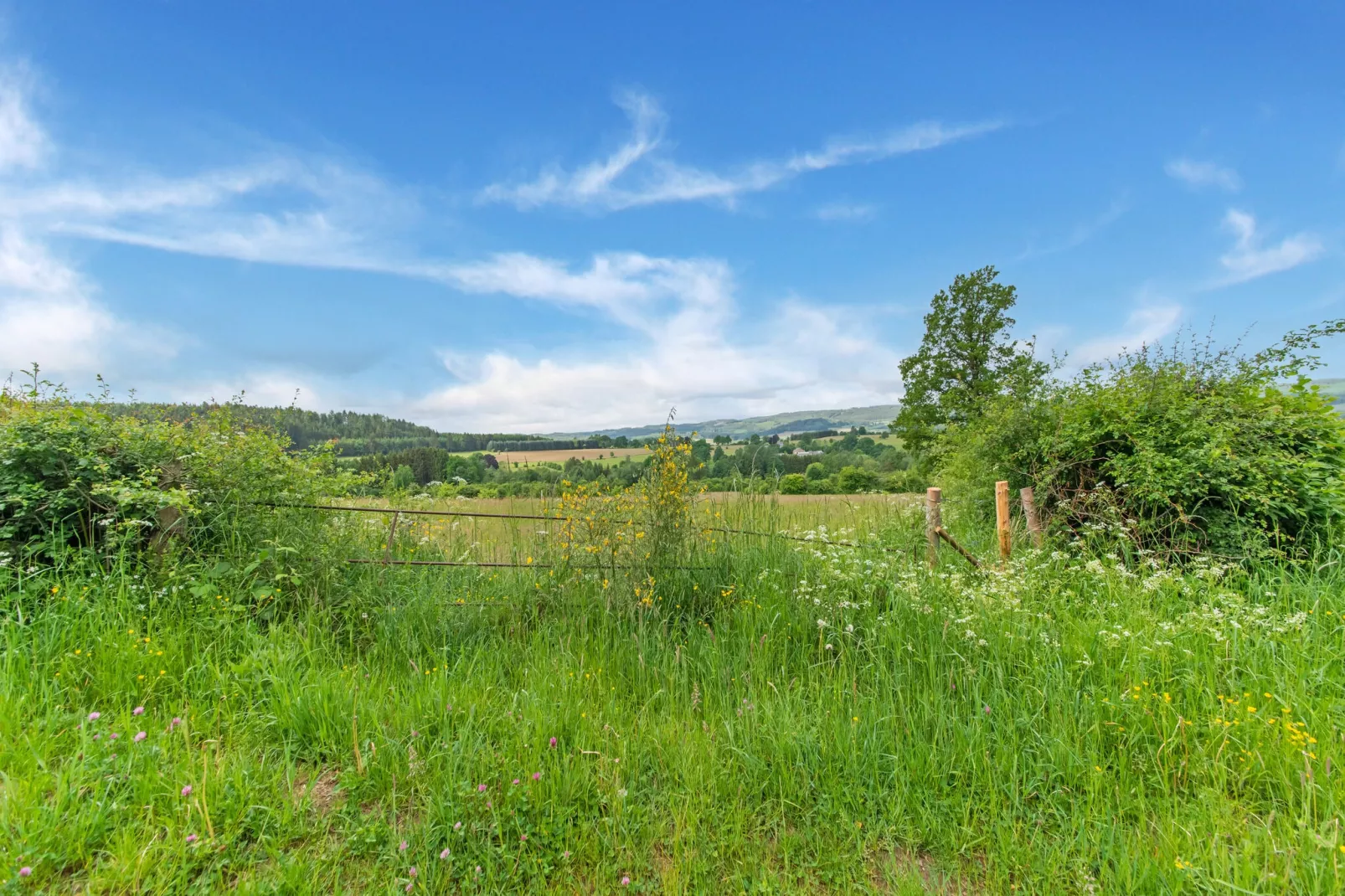 MELSIE-Gebiete Sommer 5 km