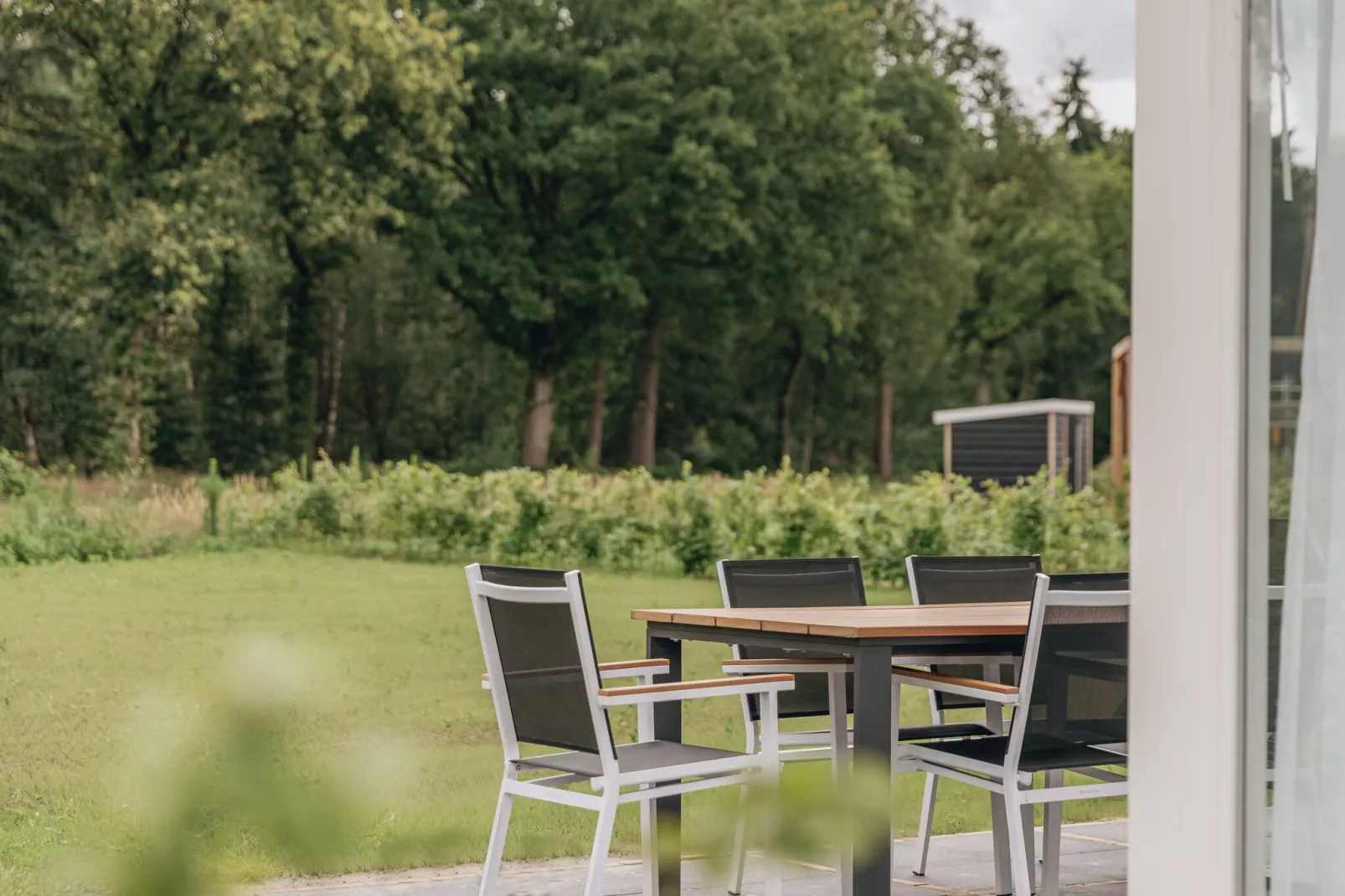 Vakantiepark De Heihorsten 1-Terrace balcony