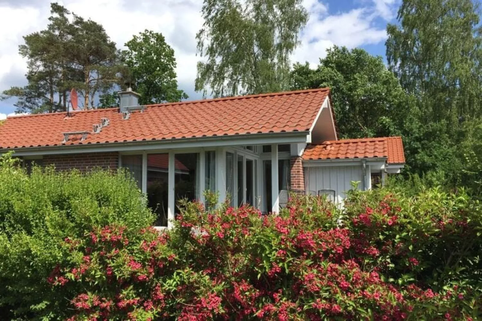 Ferienhaus in Röbel an der Müritz-Exterior summer
