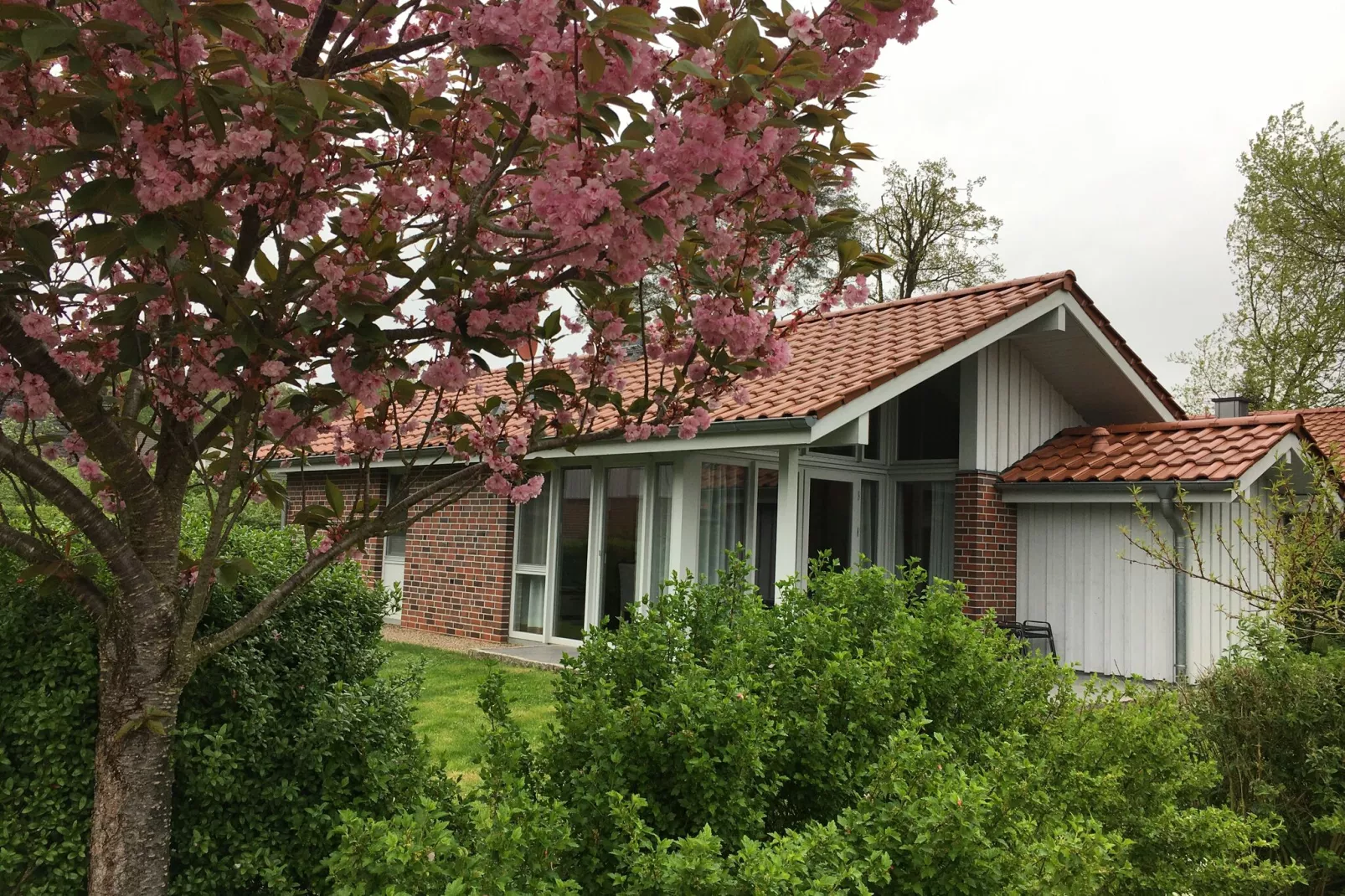 Ferienhaus in Röbel an der Müritz-Exterior summer
