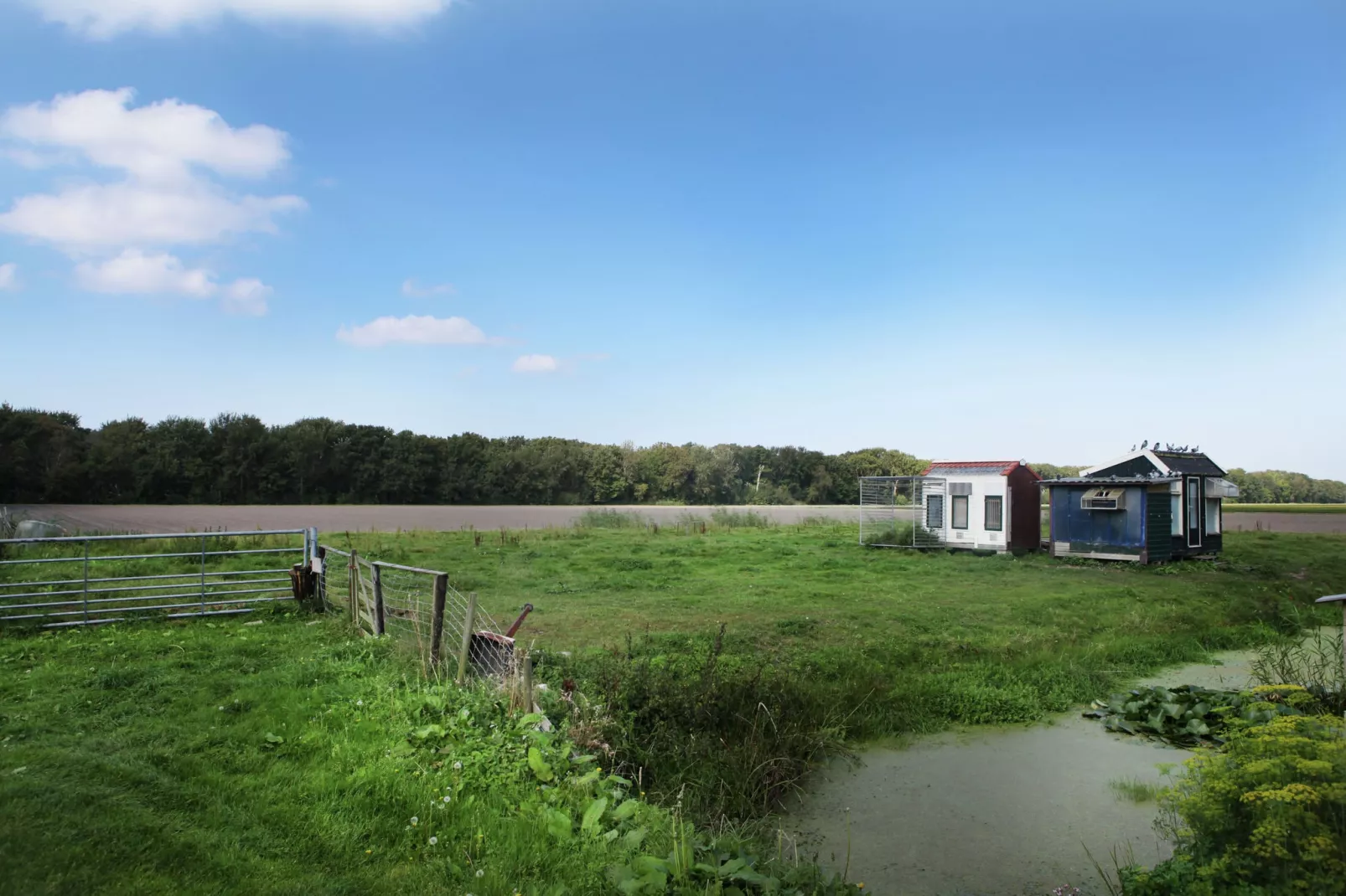 Wildrijk-Aussicht Sommer