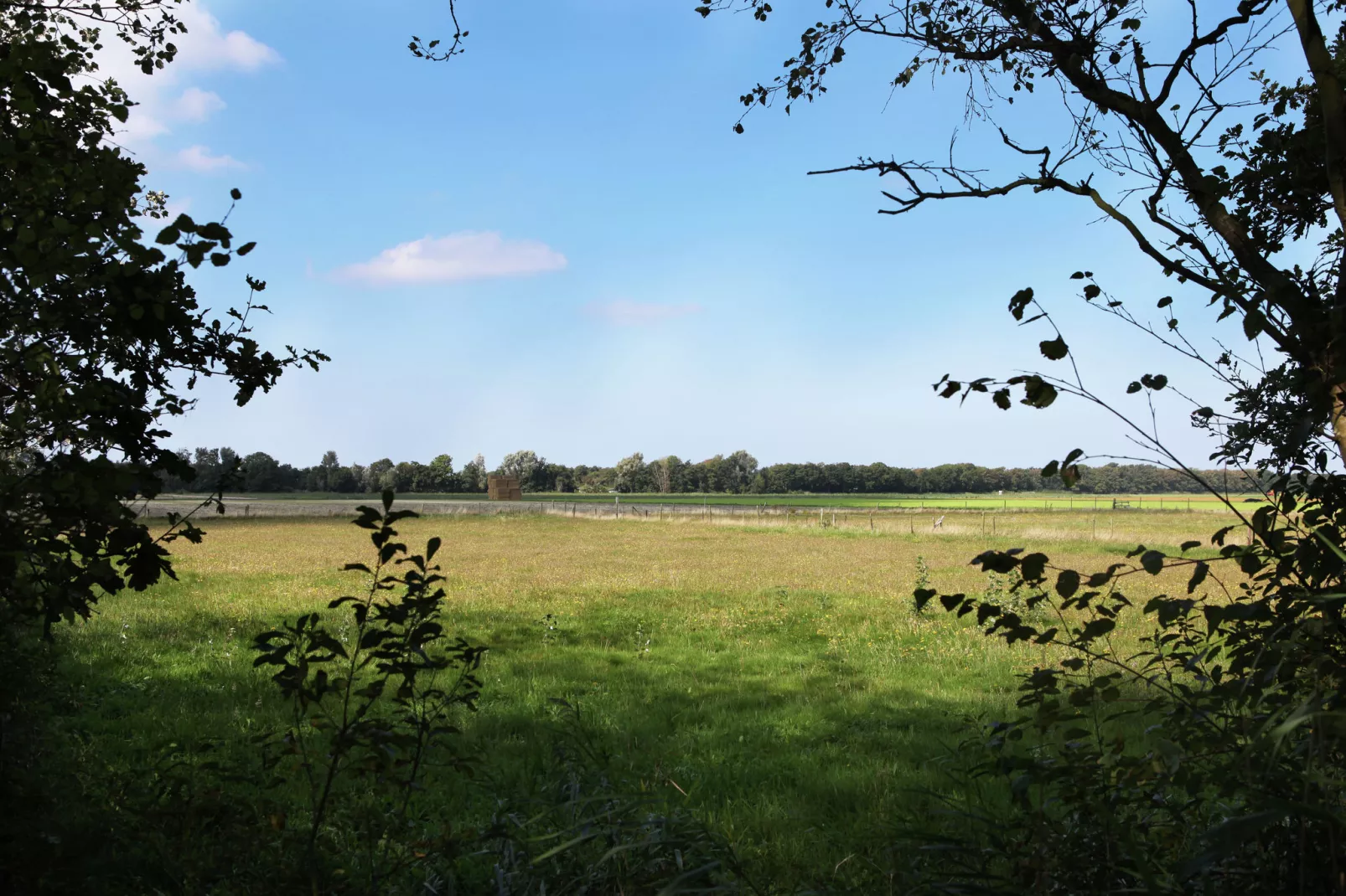 Wildrijk-Gebiete Sommer 1 km