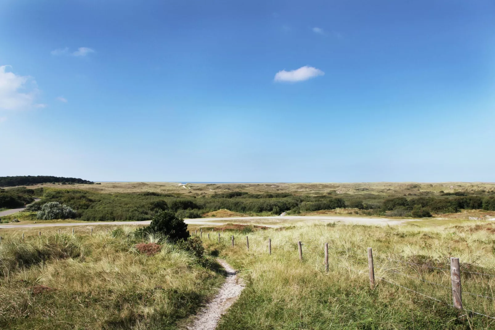 Wildrijk-Gebiete Sommer 5 km