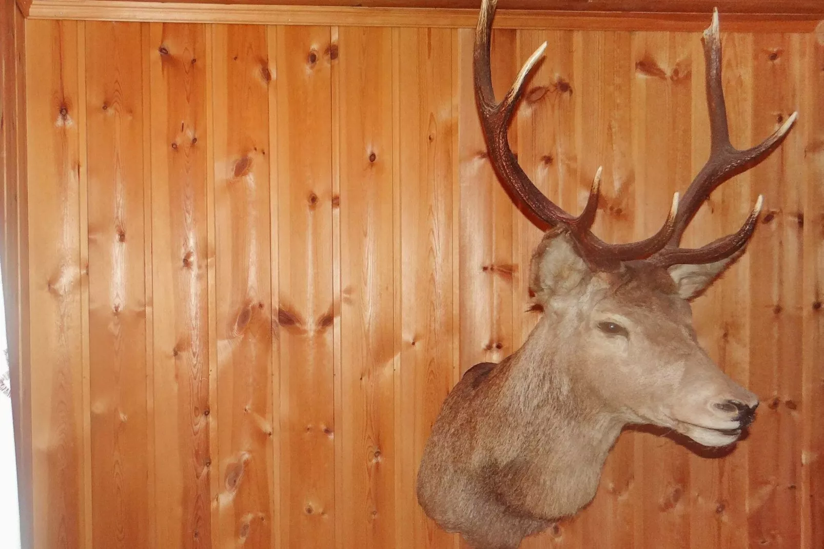 4 person holiday home in Måndalen-Indoor