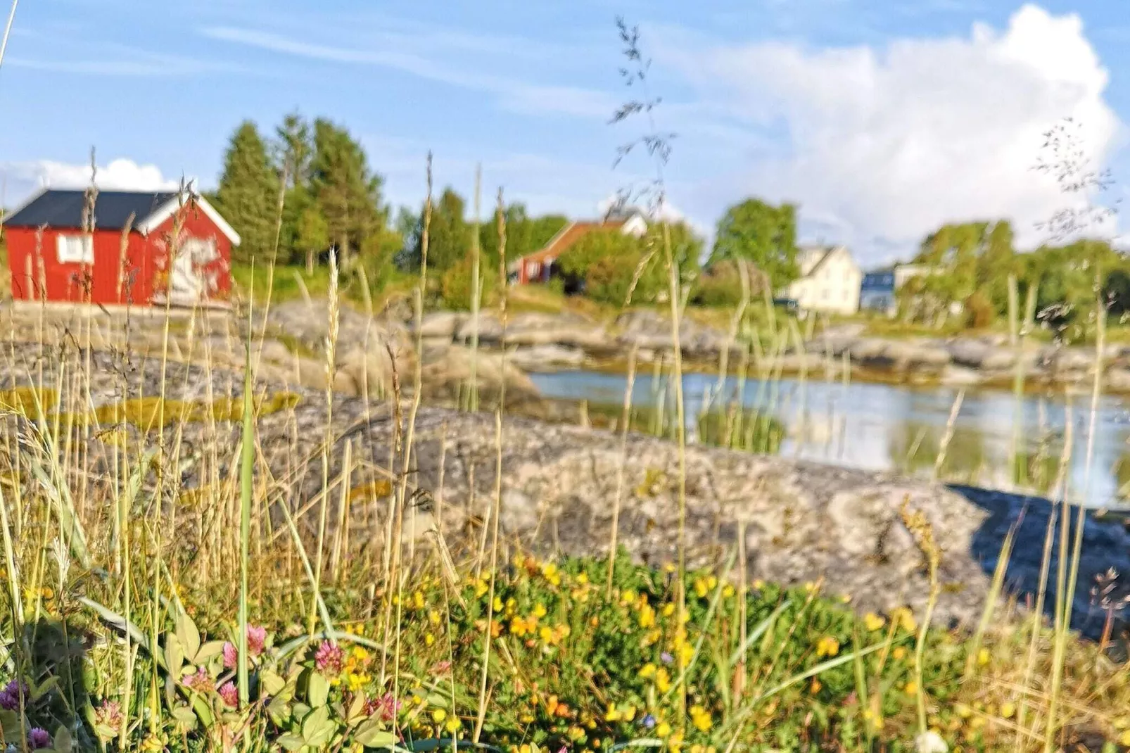 5 person holiday home in Tranøy-By Traum-Not tagged