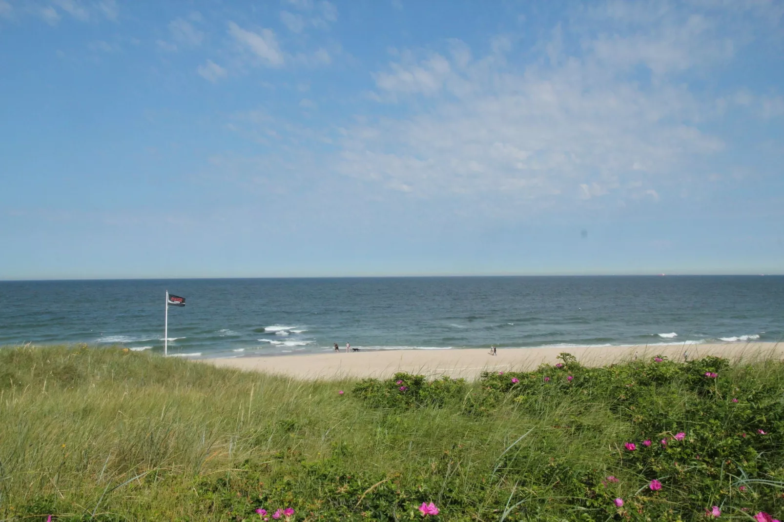 Familie Lodge aan de Duinen-Areas summer 5km