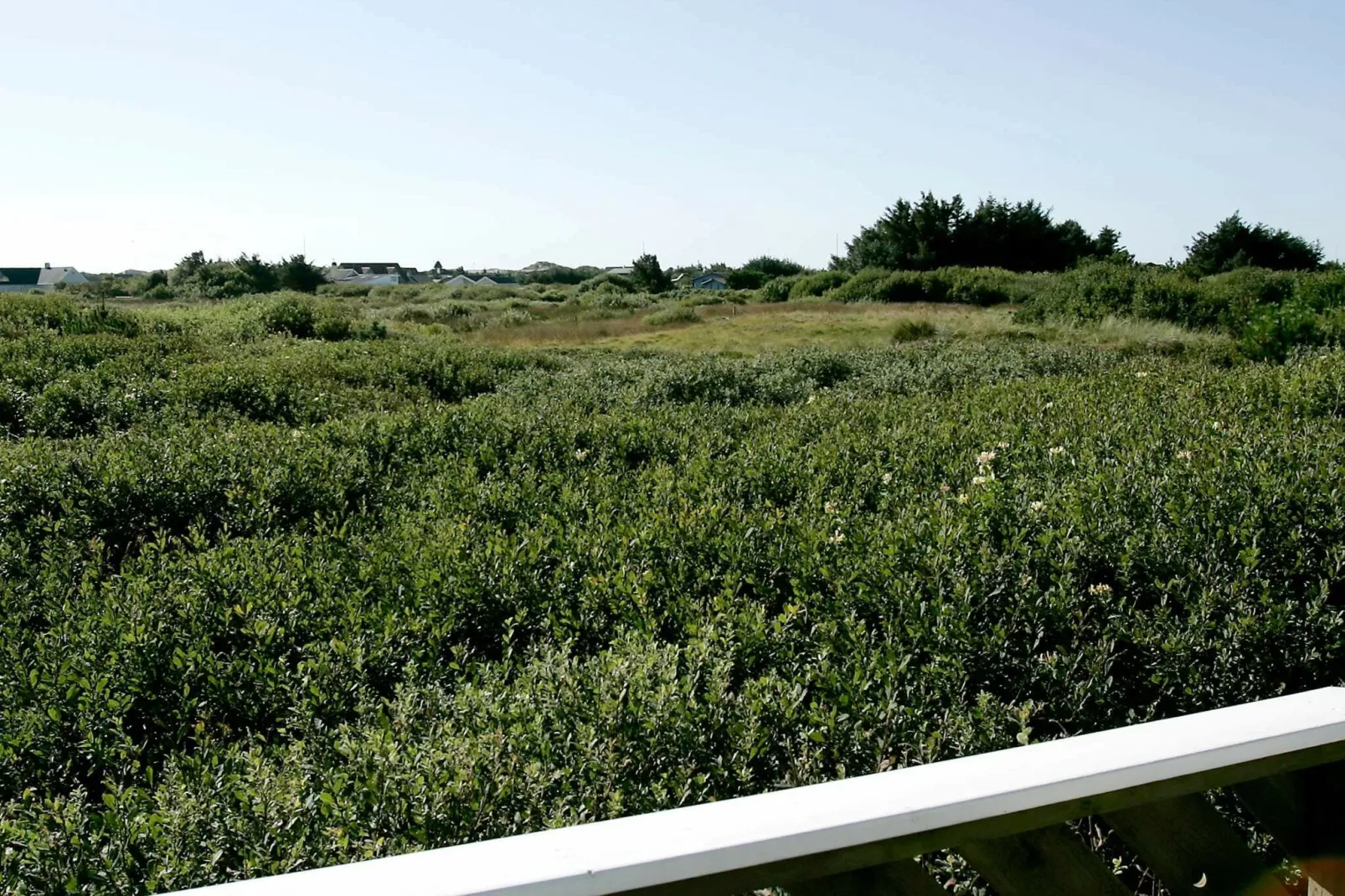 10 person holiday home in Blokhus-View