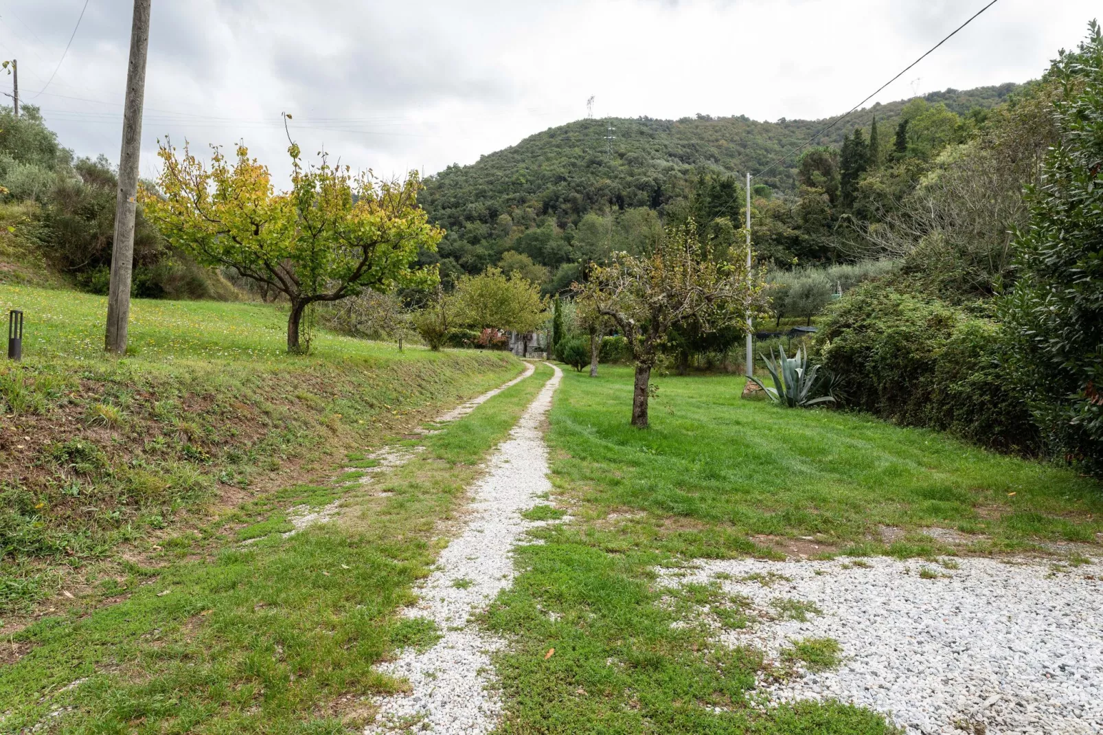 Villa Di Bugno-Gardens summer