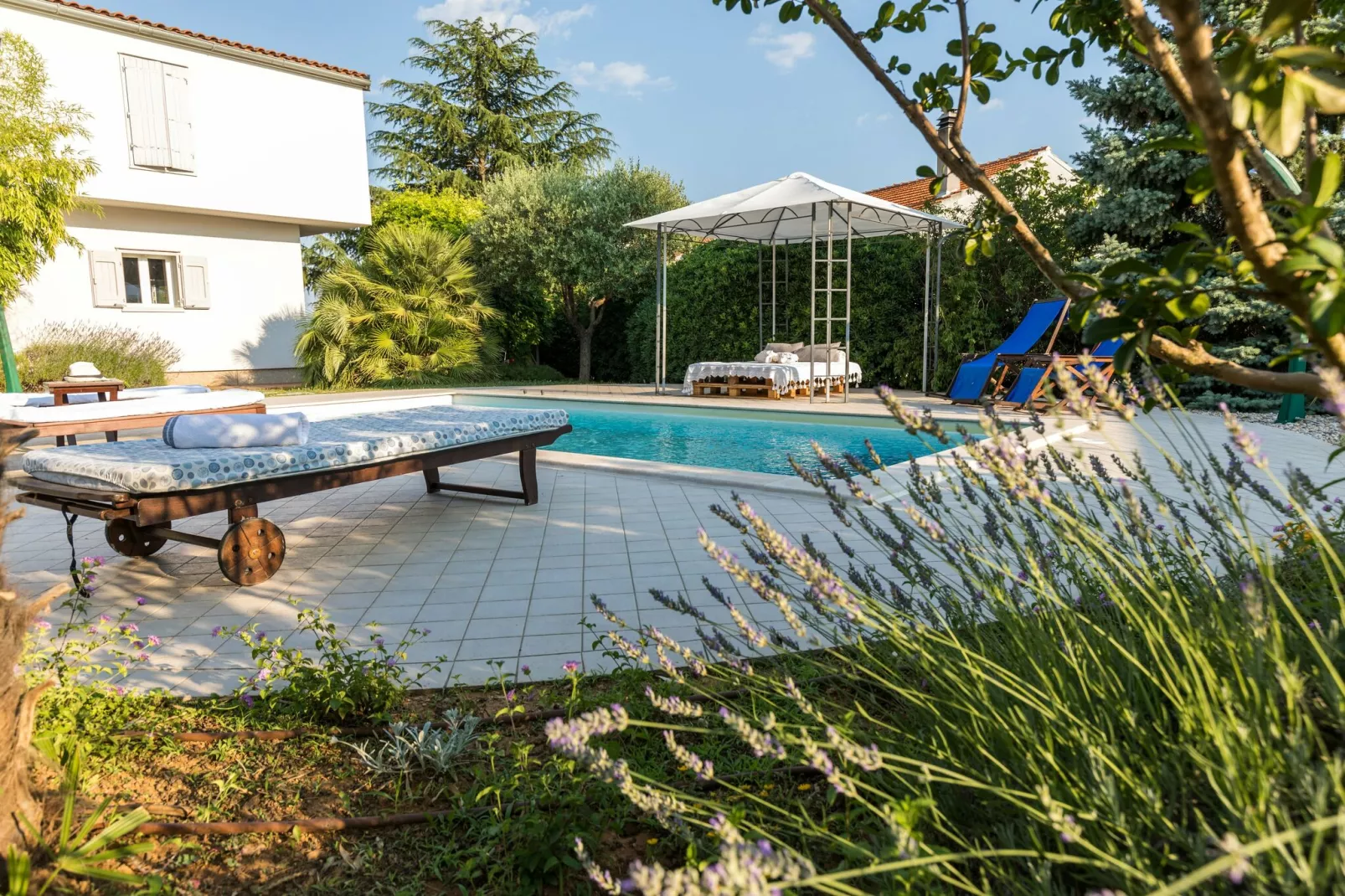 Villa Vicencin-Exterior summer