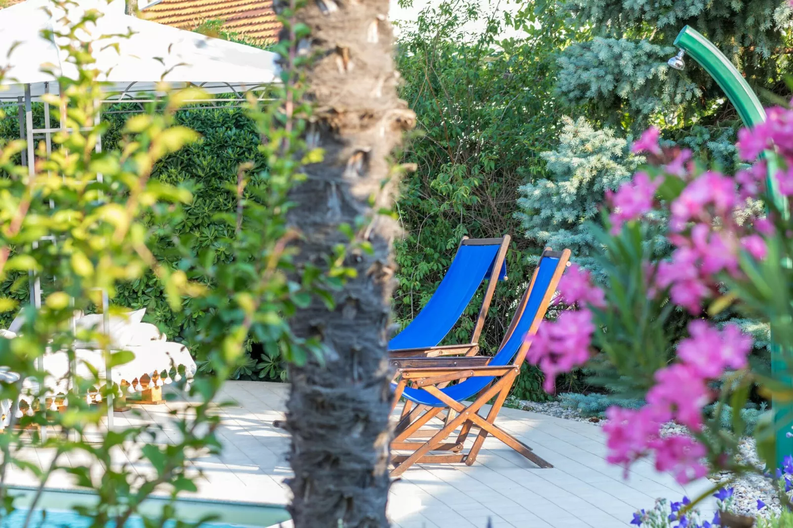 Villa Vicencin-Gardens summer