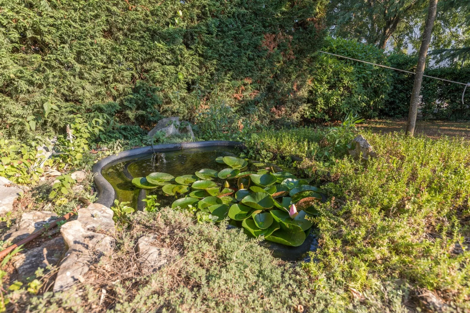Villa Vicencin-Gardens summer