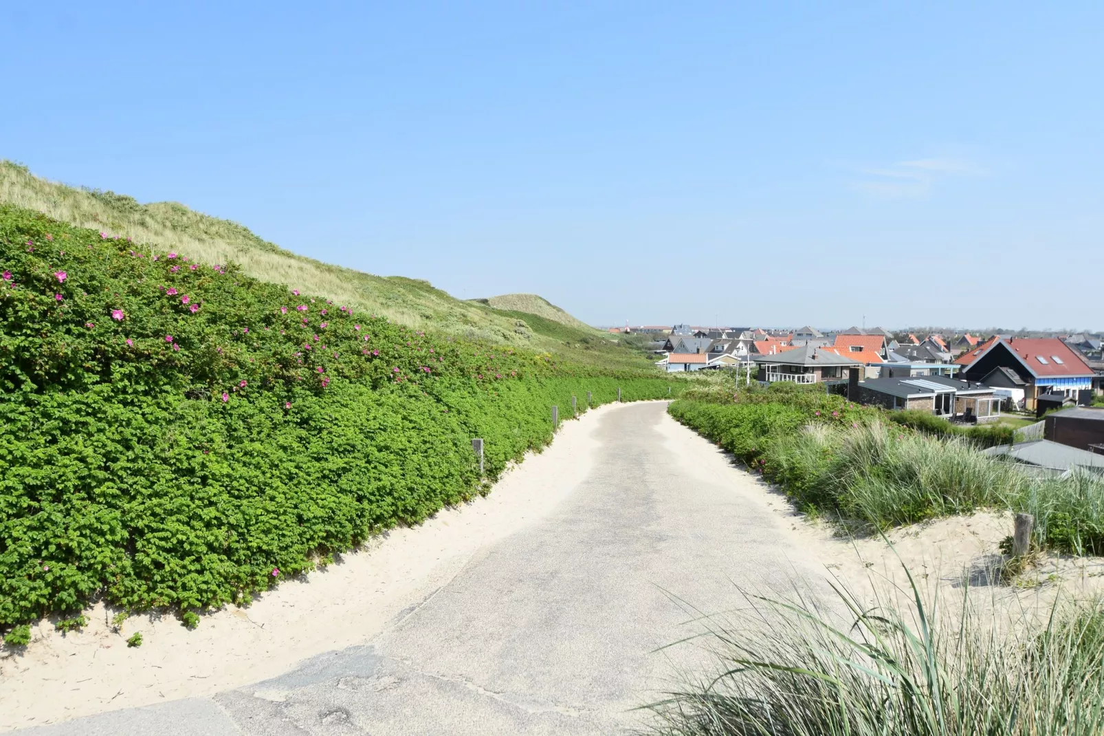 Hazenborgh - Zand-Areas summer 5km